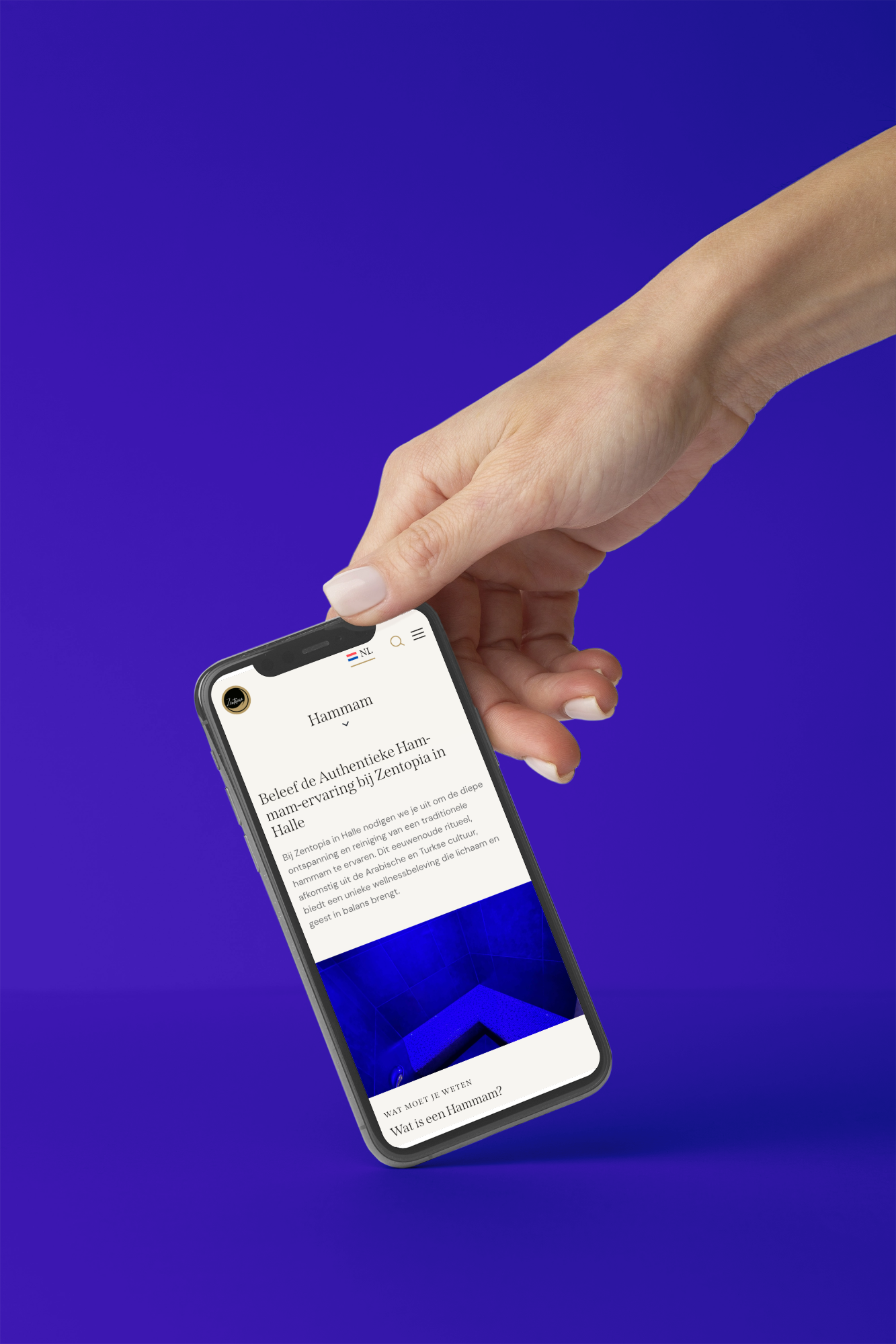 Zentopia Screenshot 1