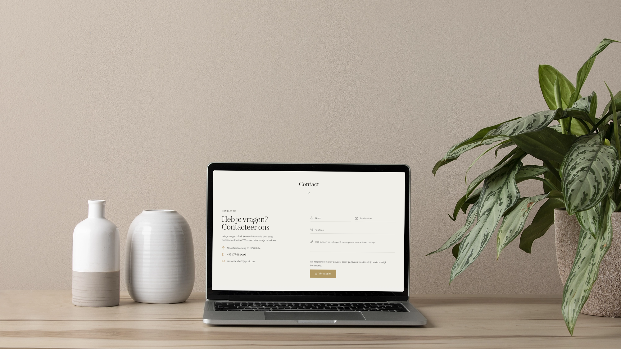 Zentopia Screenshot 2