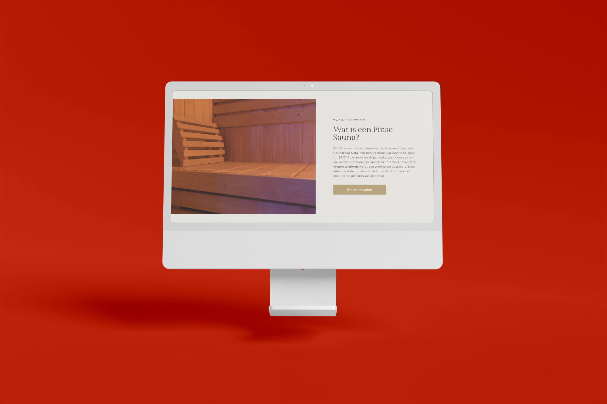 Zentopia Screenshot 3